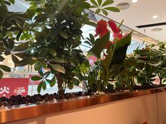 -啫火啫啫煲·顺德干蒸(西乡天虹店)