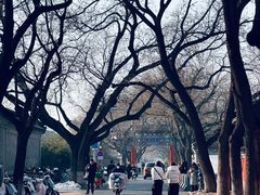 -北京国子监胡同
