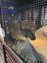 -酷嗒动物文化乐园(cutezoo西溪乐天城店)