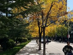 -山东大学(威海校区)