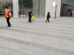 -Apple零售店(济南恒隆广场店)