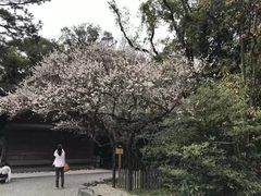 -热田神宫