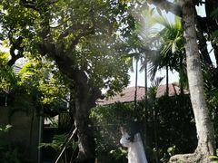 -Chom Cafe and Restaurant