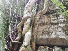 -山王坪喀斯特国家生态公园