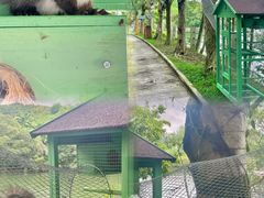 -梅州雁山湖国际花园度假区