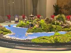 -豫丰汇河南名菜楼(武记餐饮)