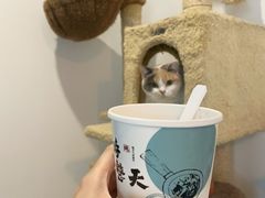 -炖物24章·顺时轻养茶(杭州保利时光里店)