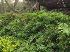 -台山颐和温泉城