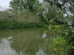 -新江湾城公园