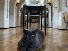 -Me Coffee下午茶艺术空间