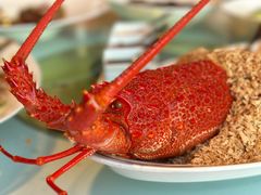 -金轩中餐厅 Jin Xuan(浦东丽思卡尔顿酒店)