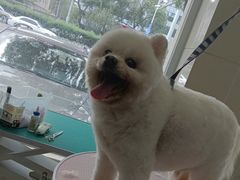 -北京观赏动物医院·24小时大型综合·猫专科·异宠专科