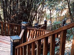 -天门沟九州驿站树上汤泉