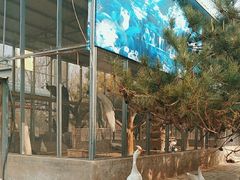 -第五季龙水凤港生态露营农场