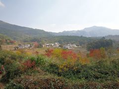 -塔川景区