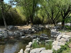 -莲花池公园
