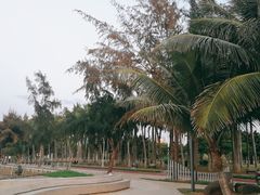 -万绿园
