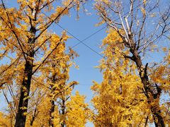 -百林公园-两江幸福广场