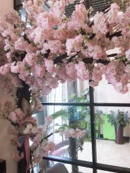 店内环境-熙禾美甲美睫·皮肤管理