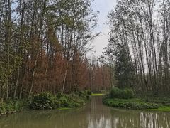 -桤木河湿地公园