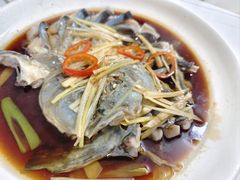 -煲来饱去冷水鱼