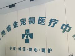 -睿金宠物医院·CT·肿瘤·骨外科