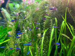 -上海海洋水族馆