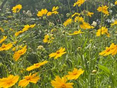 -汉长安城未央宫国家考古遗址公园