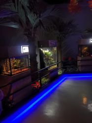 -未来动物城动物主题公园(大悦城店)