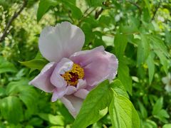 -狼山风景名胜区