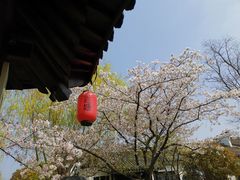 -巡塘古镇