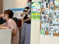 -立德动物医院·24小时中心(番禺区院区)