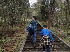 -神光山国家森林公园