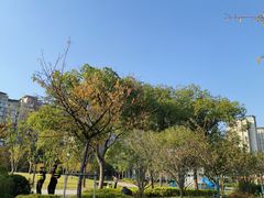 -新江湾城公园