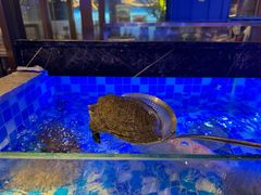 -奢谷·海鲜自助(南海万科店)