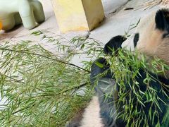 -杭州野生动物世界