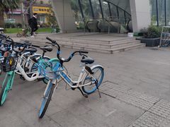 -杨柳河(地铁站)