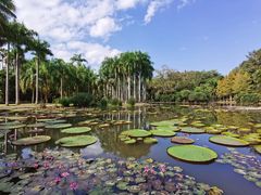 -中国科学院西双版纳热带植物园