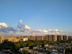 -华东师范大学第二附属中学(张江校区)