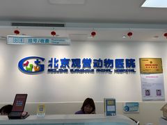 -北京观赏动物医院·24小时大型综合·猫专科·异宠专科