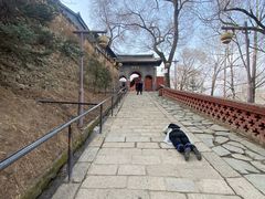 -五台山风景区
