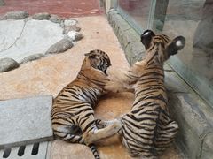 -杭州野生动物世界