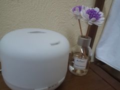 -艾通康缘艾灸.疼痛.睡眠养生馆(凤凰城店)