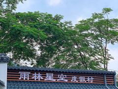-南丹山森林王国