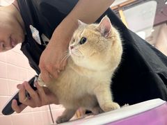 -FAELING PETS美天灵宠物(富力广场店)