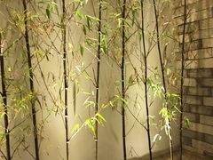 -茶理宜世(东方宝泰店)