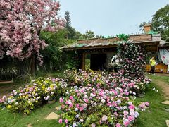 -HERRE·FARM 赫尔露营农场·团建聚会包场