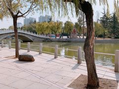 -莱西月湖公园