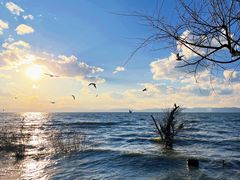 -捞渔河湿地公园