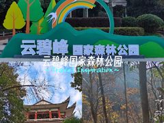 -云碧峰国家森林公园